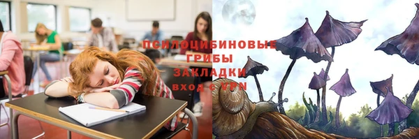 экстази Богданович